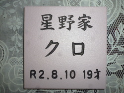 P1090512.JPG