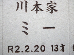 P1090789.JPG