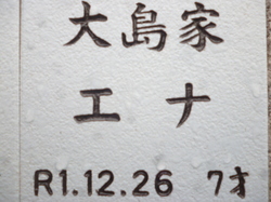 P1090790.JPG