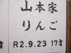 P1090791.JPG