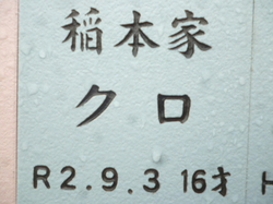 P1090795.JPG