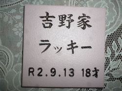 P1090830.JPG