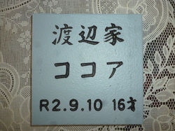 P1090875.JPG
