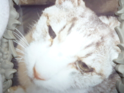 P1100036.JPG