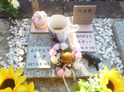 P1100042.JPG