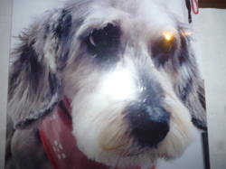 P1100046.JPG