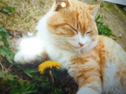 P1100323.JPG