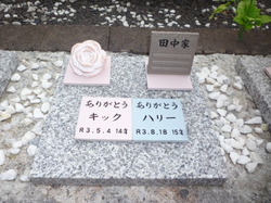 P1110727.JPG
