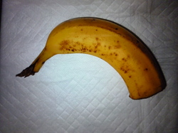 P1010039.JPG